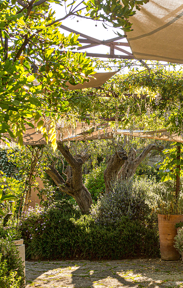 jardins domaine mas de pierre